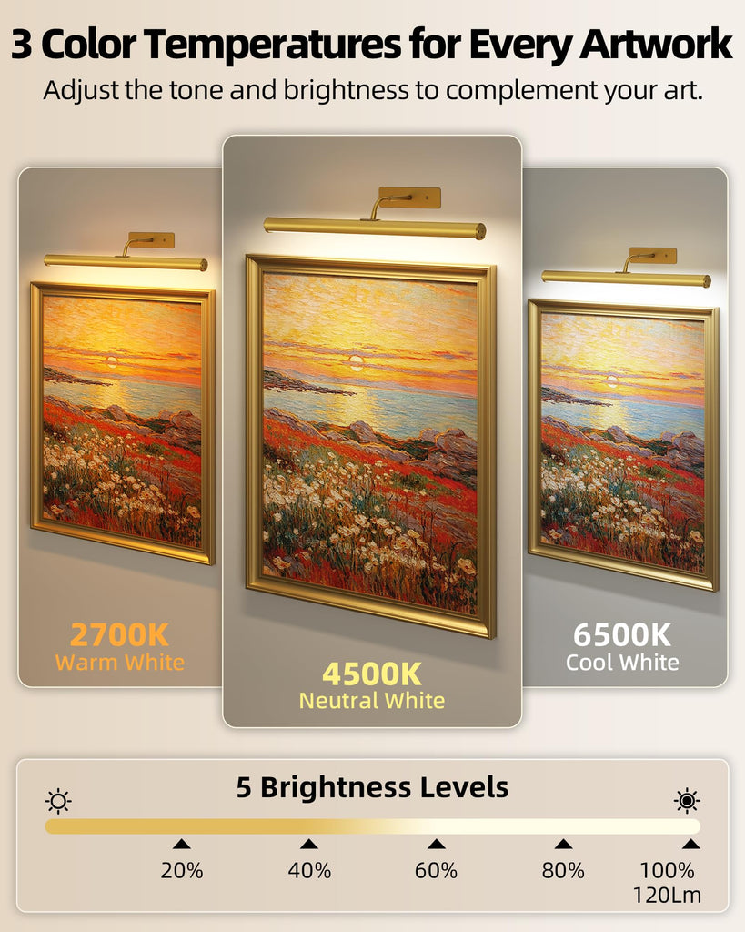 16'' Picture Light for Wall, 6000mAh Rechargeable Battery Art Light