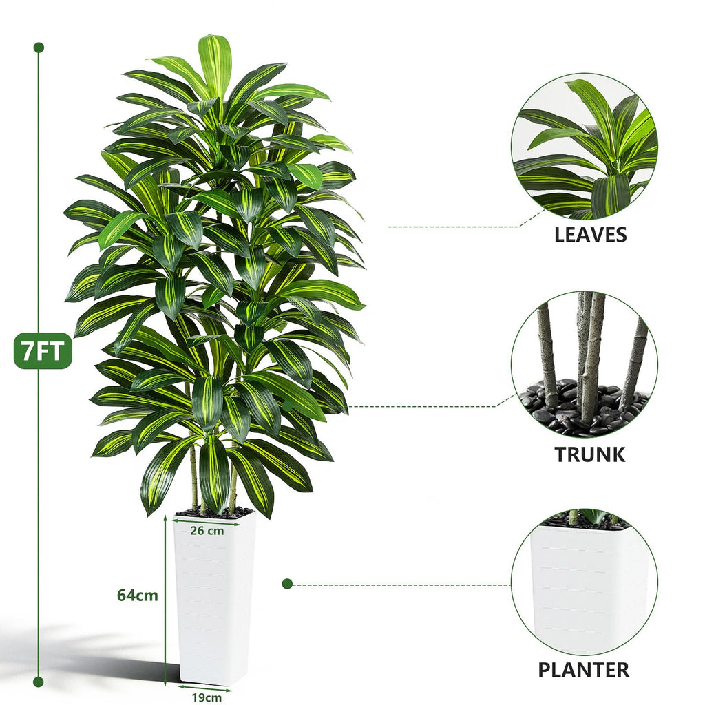 Artificial Dracaena Tree 7FT / White Planter, Tall Plants Indoor