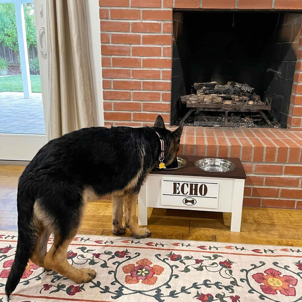 Elevated Dog Bowls for Large Dogs, Personalized Food Stand for Large Breed