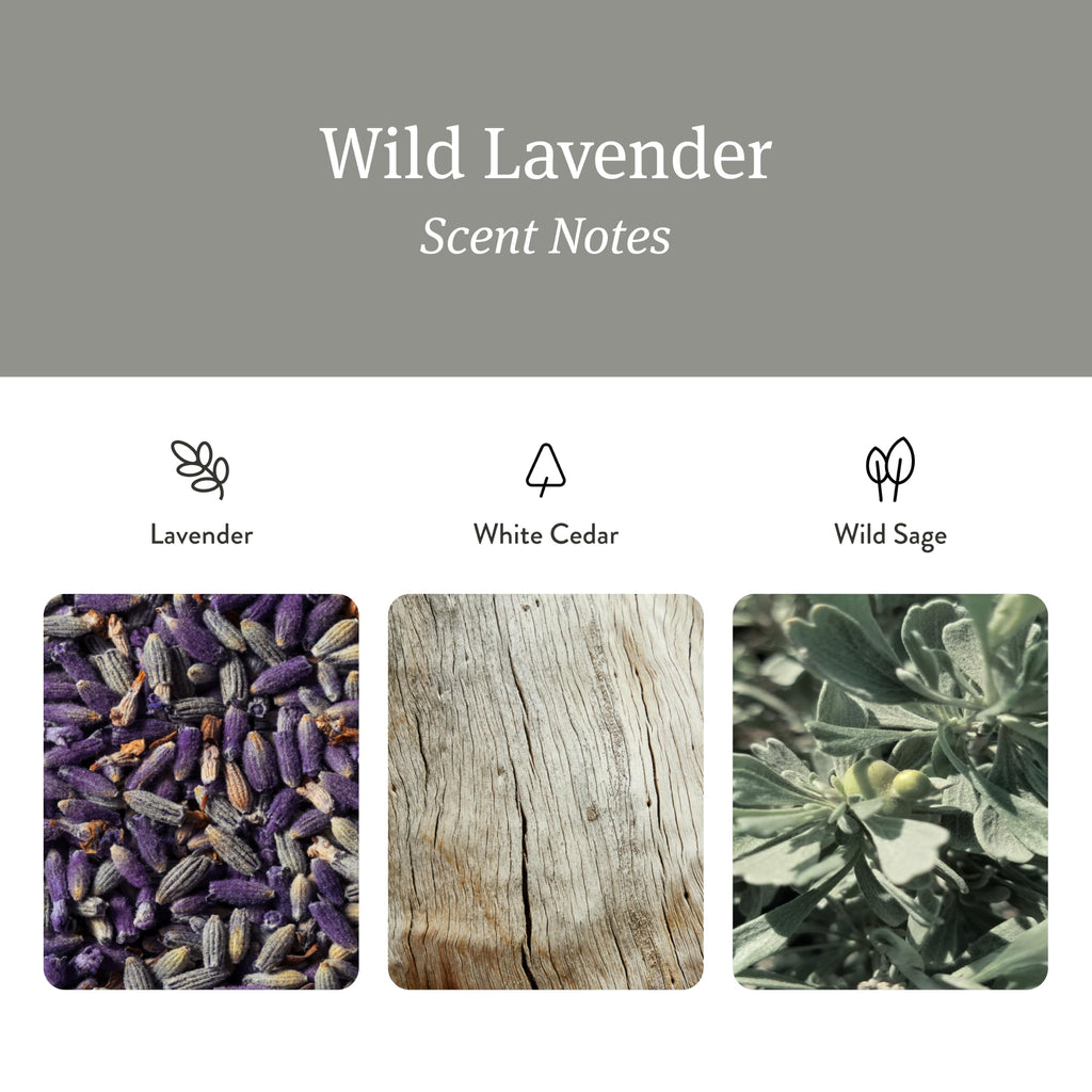 Wild Lavender Scented Reed Diffuser - Diffusers - 60 Day Scent Life - Oil Diffuser - Essential Oil Reed Diffuser