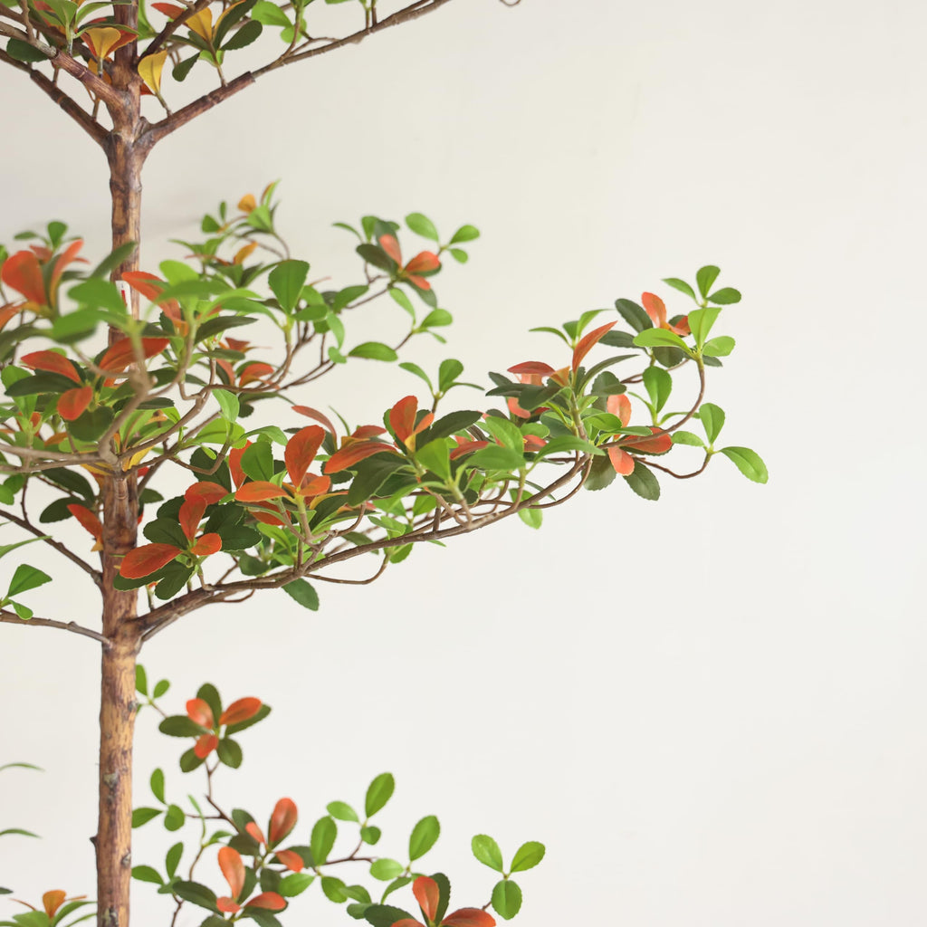 Black Olive Tree with Green and Red Leaf, 7FT Tall Faux Shady Lady Tree with Potted, Fake Olive Tree Decor Indoor