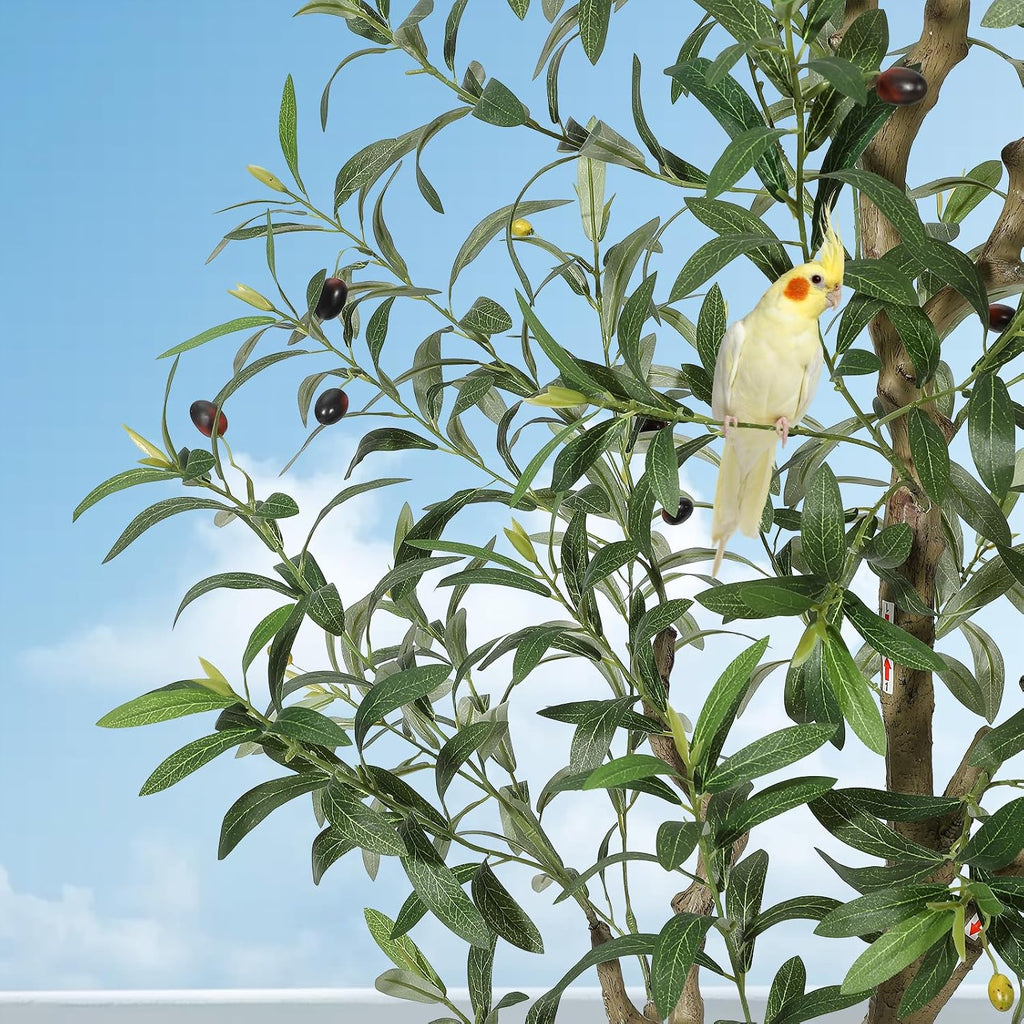 Olive Trees Artificial Indoor, 6 ft Tall Faux Silk Plant - Fake Potted Tree with White Planter, Artificial Plants