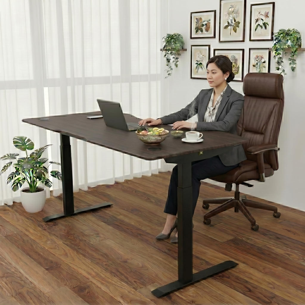 Elite Pro Series 60" x 27" Electric Height Adjustable Stand up Desk, Sit Stand Home Office Desk, Computer Desk
