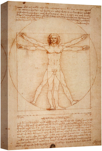 Vitruvian Man by Leonardo Da Vinci Giclee Canvas Prints Wrapped Gallery Wall Art | Stretched and Ready to Hang - 24"