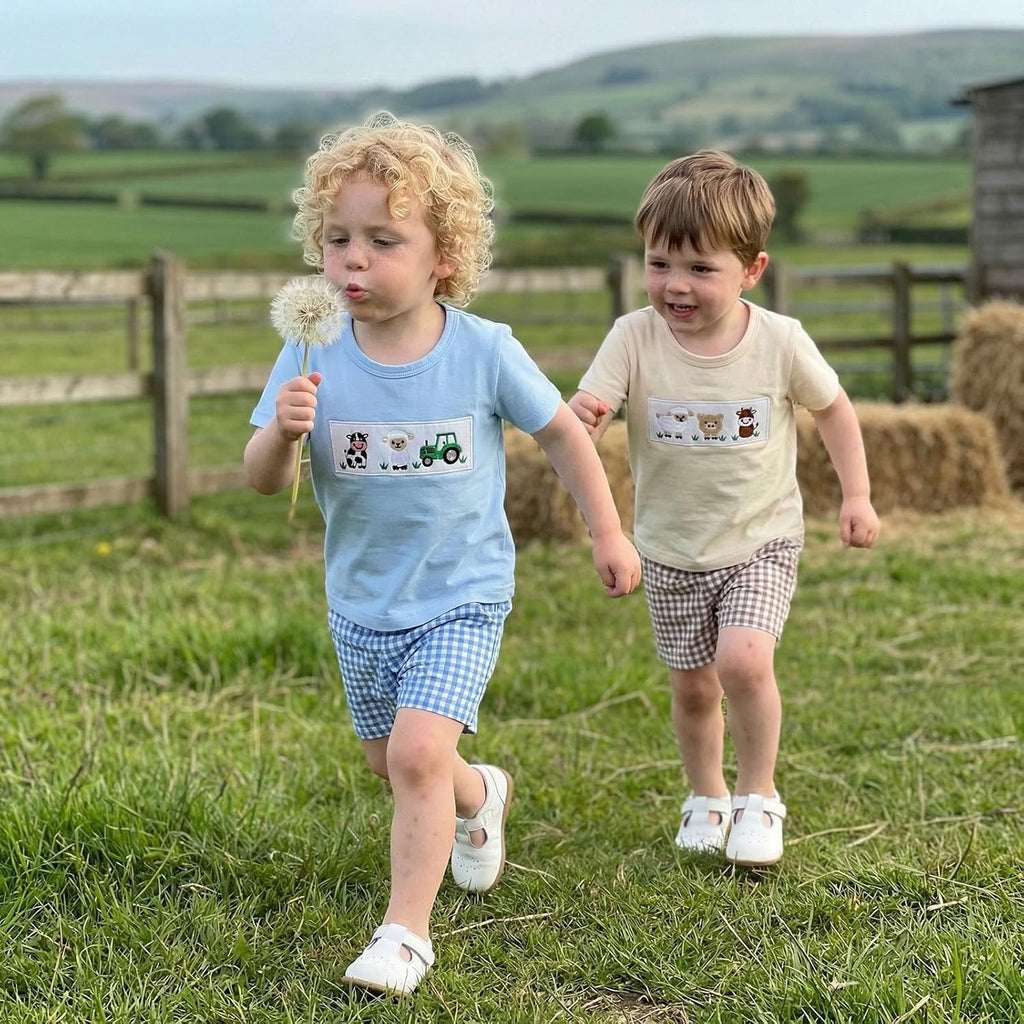 Toddler Baby Boy Summer Outfits 12 18 Boys Clothes Retro Farm Shirt Baby Tee + Shorts Set