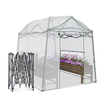 8.5 x 7 ft Pop‐up Walk‐in Greenhouse for Outdoor Winter Plant Protection