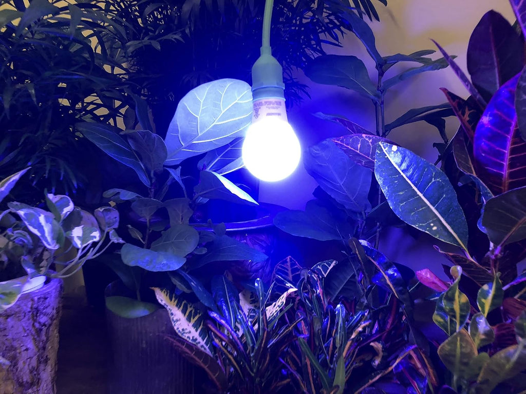 4KK Indoor Grow Light Bulb - 4000K Blue Spectrum Grow Bulbs for Vegetables, Herbs, Hydroponics. (2-Pack)
