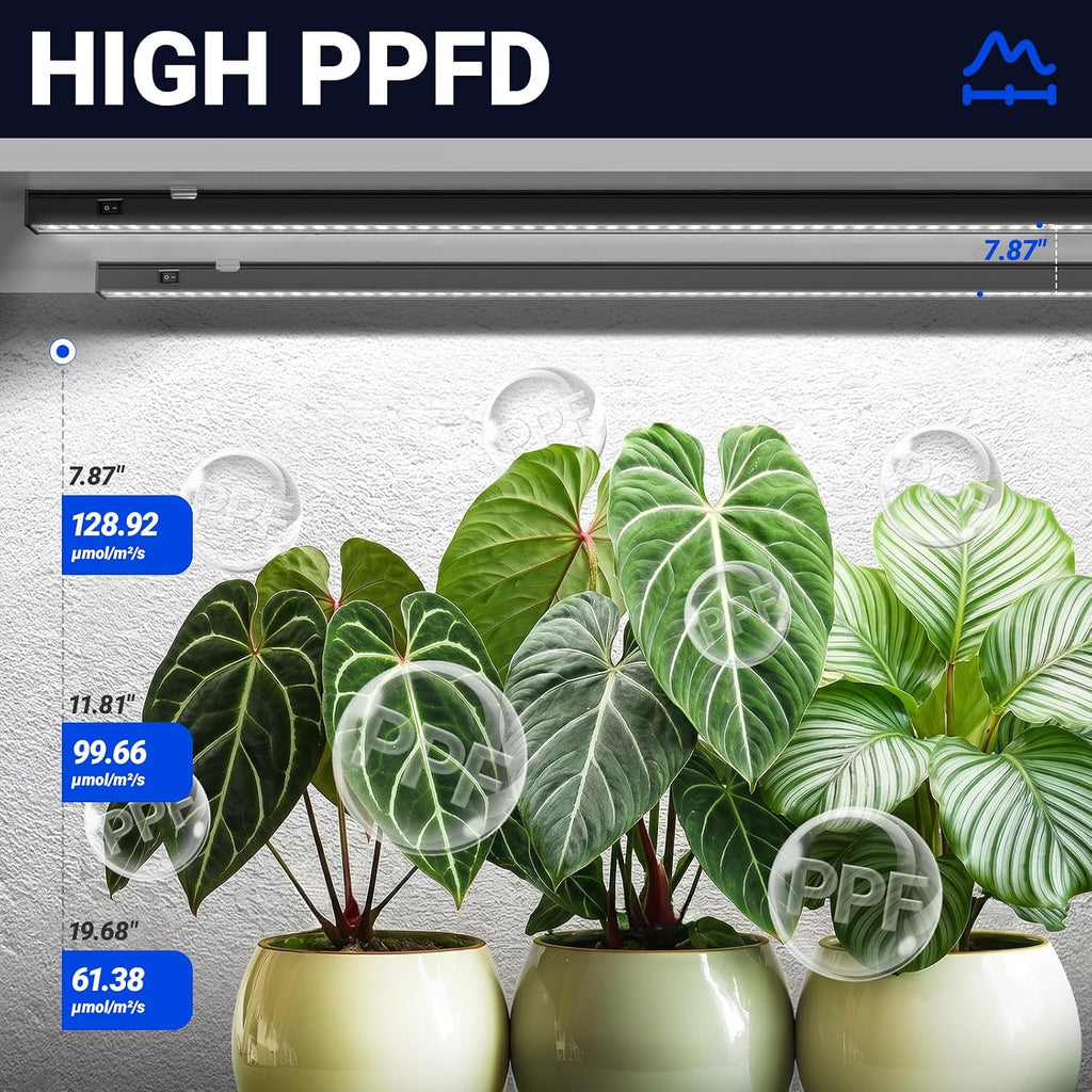 T5 Plant Lights, 4FT 160W (8 X 20W), 5000K, 8 Packs, Black Cover