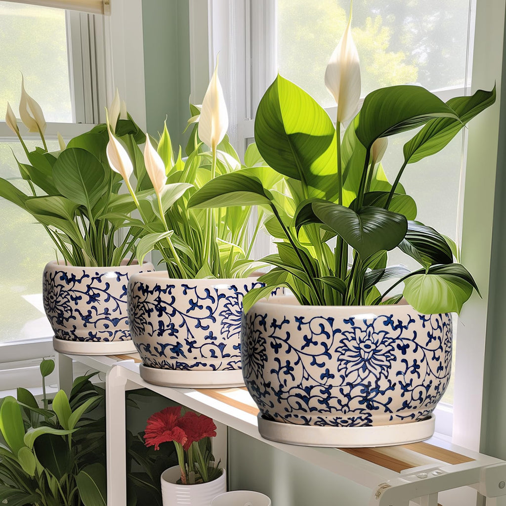 Ceramic Flower Pots - 6 Inch Plant Pot Indoor with Drainage Hole and Saucer, Porcelain Ceramic Planter Outdoor