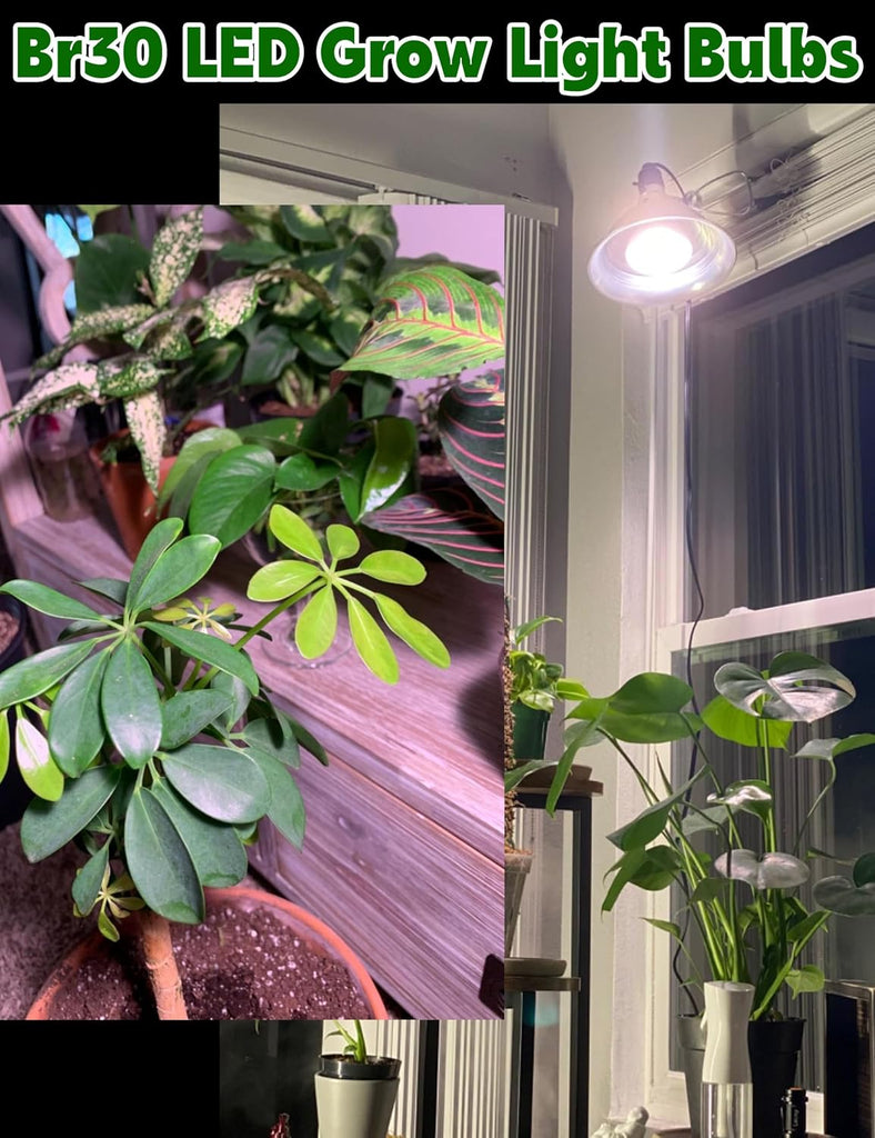 E26 Plant Light Bulb, Full Spectrum Grow Light Bulbs BR30, 200w Equivalent