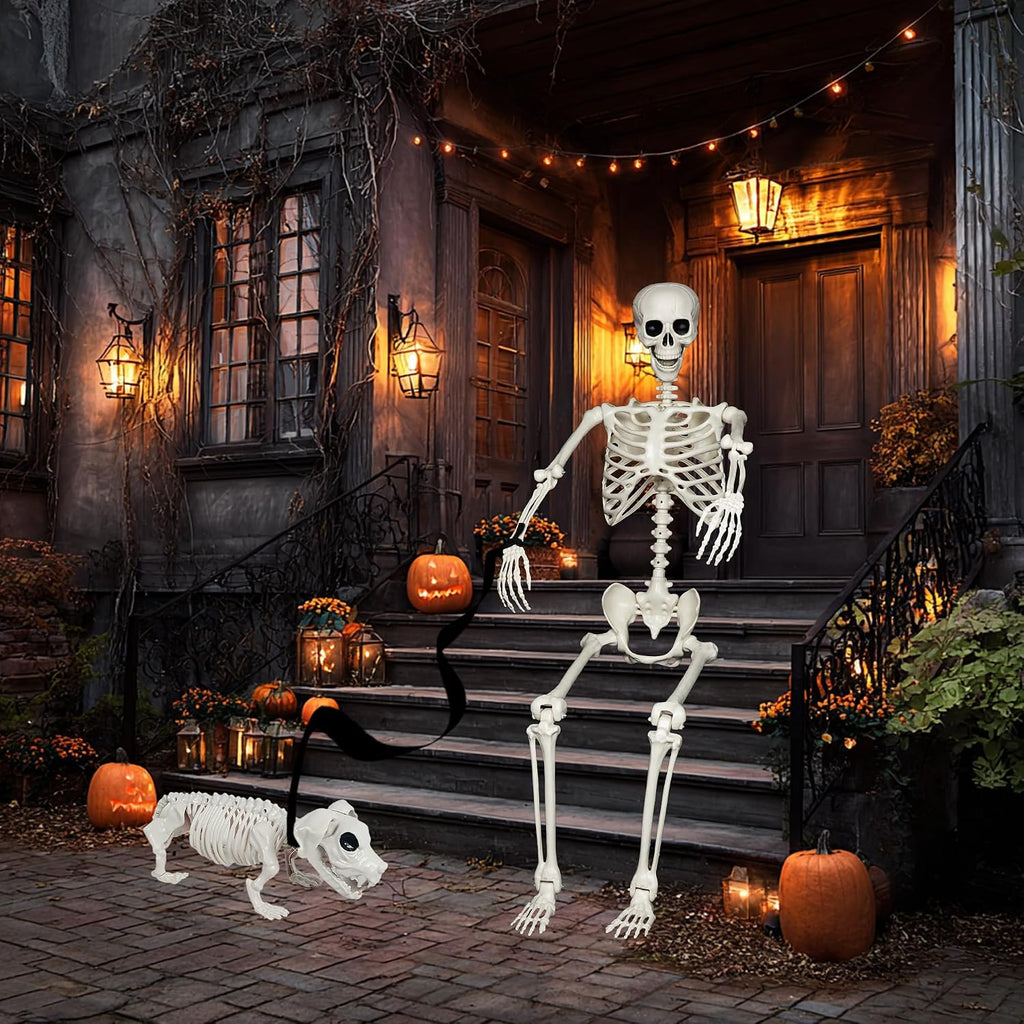 5.4FT Halloween Skeletons Decoration, Posable Life Full Size Skeleton with Dog Skeleton, Realistic Plastic Human - Set of 3