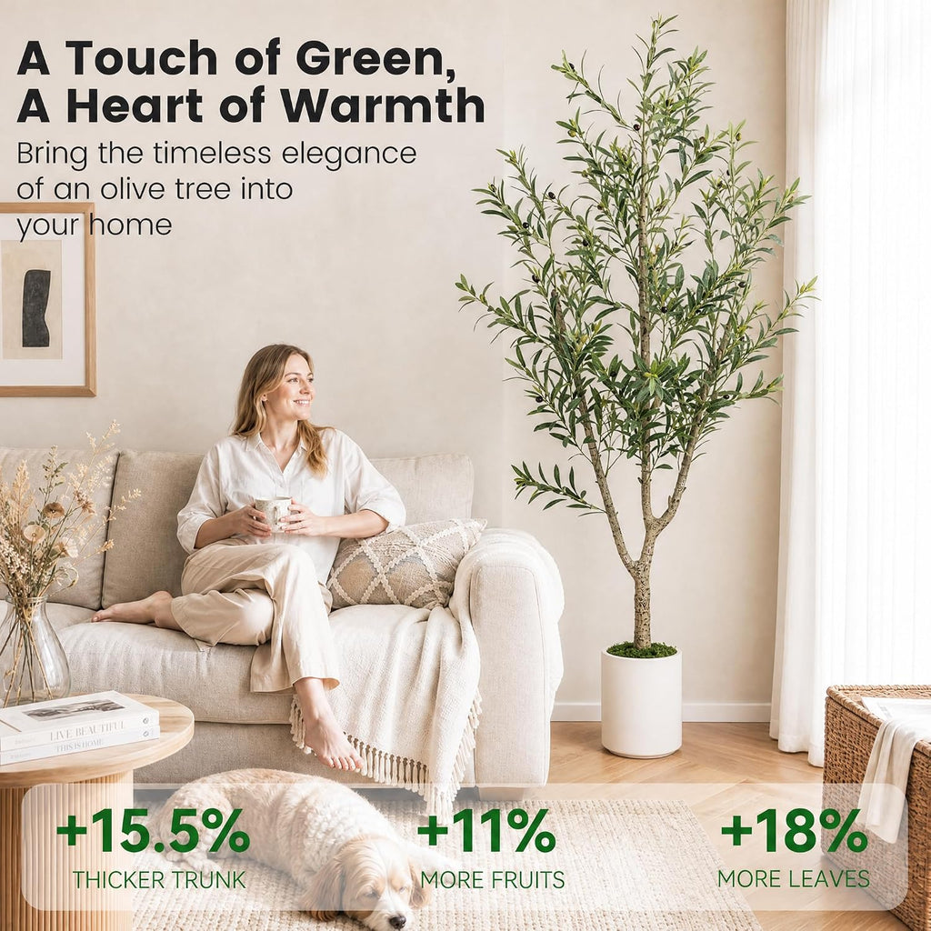 Olive Trees Artificial Indoor, 6ft Tall Olive Tree with White Planter, Faux olive tree with Natural Wood Trunk &