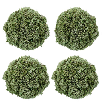 3.5 Inch Artificial Boxwood Balls Faux Topiary Set of 4 Greenery