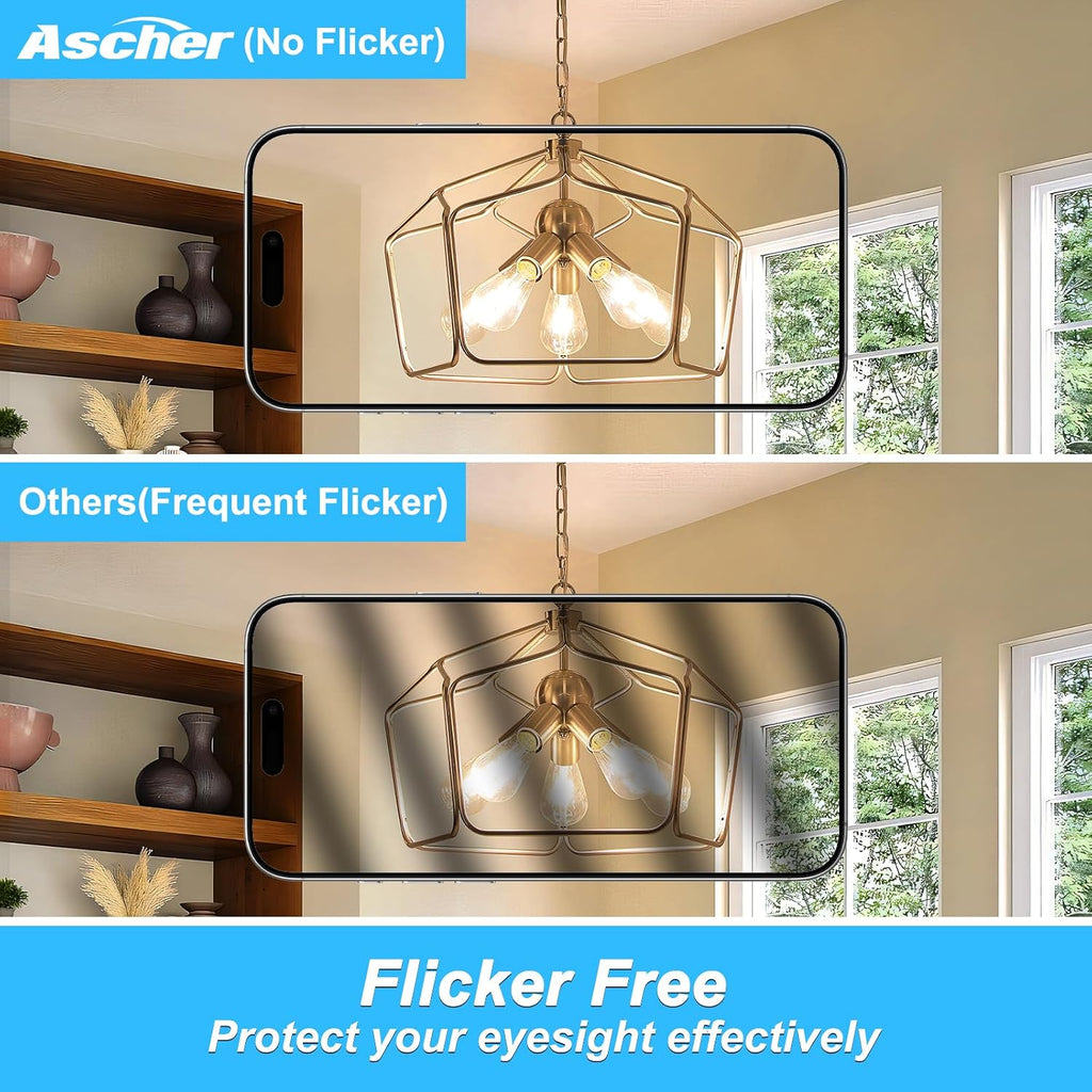 Vintage LED Edison Bulbs, 6W, Equivalent 60W, E26 Medium Base, Warm White 2700K, Non-Dimmable, ST58 Antique LED