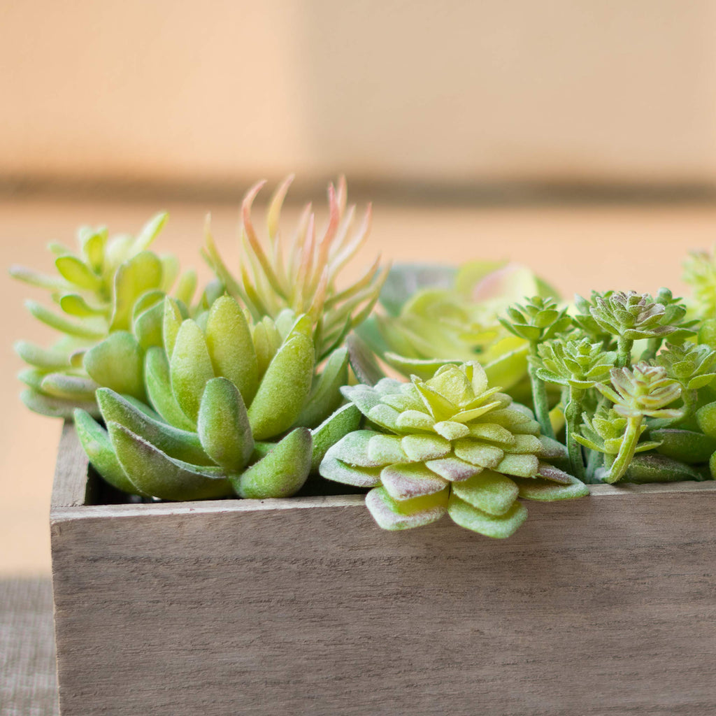 35 Pack Bulk Large Assorted Realistic Artificial Faux Succulents Aloe Plants Realistic Fake Succulent Plants, Largest