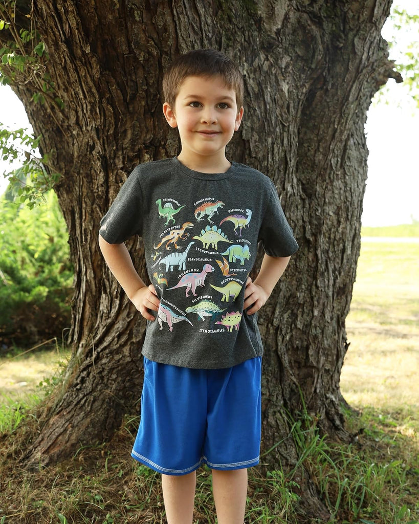 Boys Graphic T-Shirt, Cotton Short Sleeve Shirt for Kid