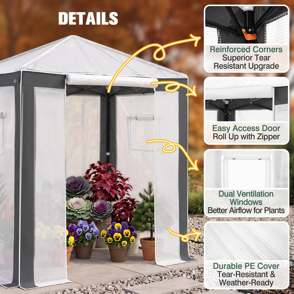 6x4 Walk in Pop Up Greenhouse, Gray/White