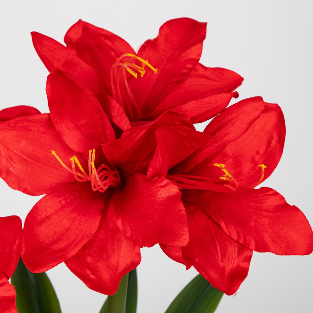 Red Artificial Amaryllis in Blue and White Ceramic Pot, 18.5 in