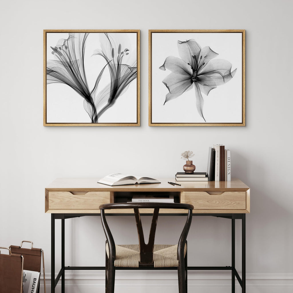 Framed Wall Art Print Set Detailed X-Ray Lily Flower Closeup Floral Plants Photography Minimalism Glam Relax/Calm