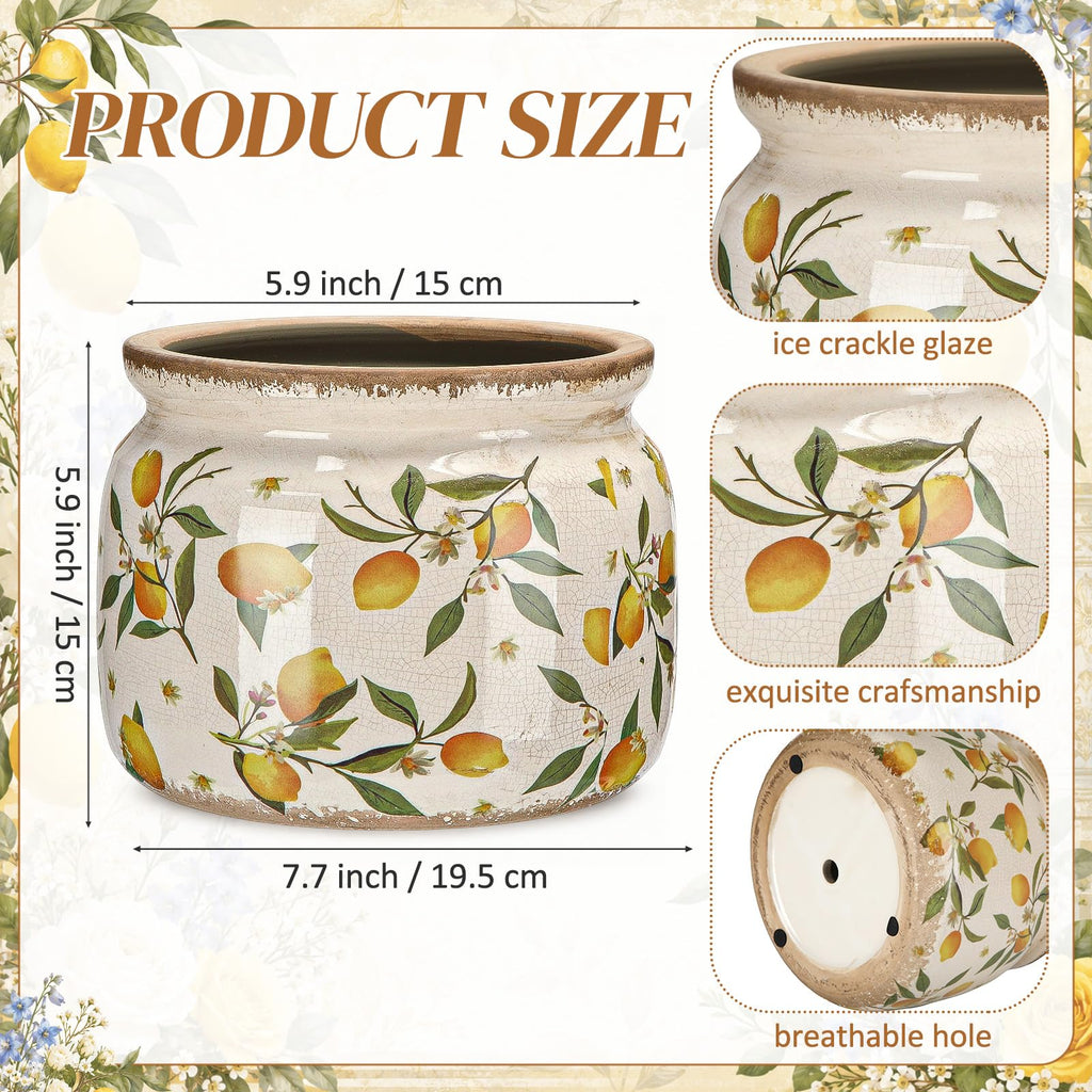 7.7" Large Ceramic Plant Pot Country Vintage Lemon Crackle Glaze Farmhouse Flowers Pot Decorative Planter with