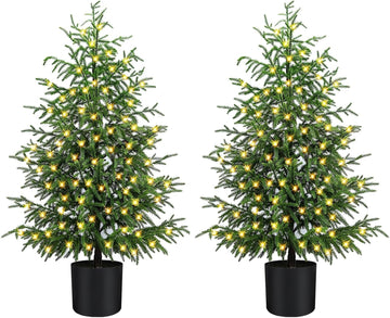 4FT Norfolk Pine Christmas Trees with 80LED Lights, 2-Pack