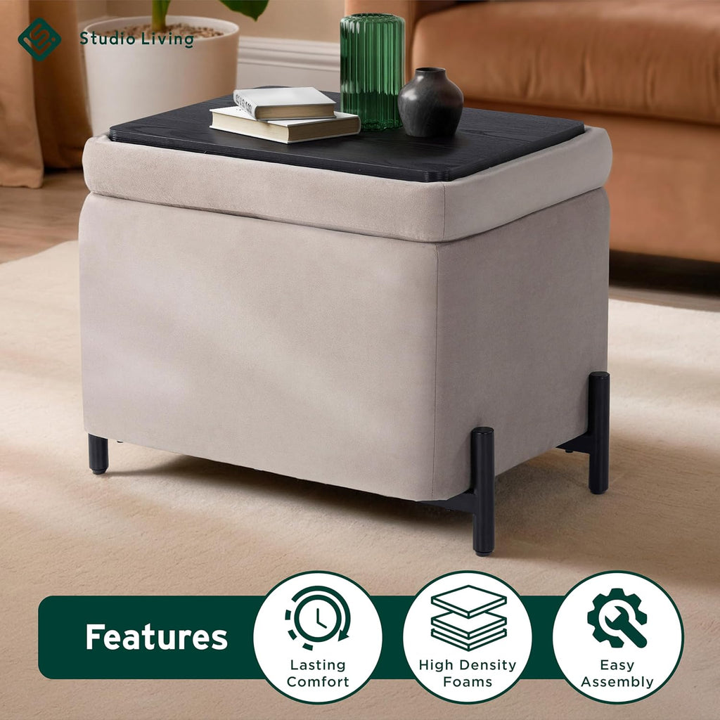 Connor 24" Small Storage Ottoman, Modern Boho, Matte Black Metal Legs, Velvet Fabric, Taupe