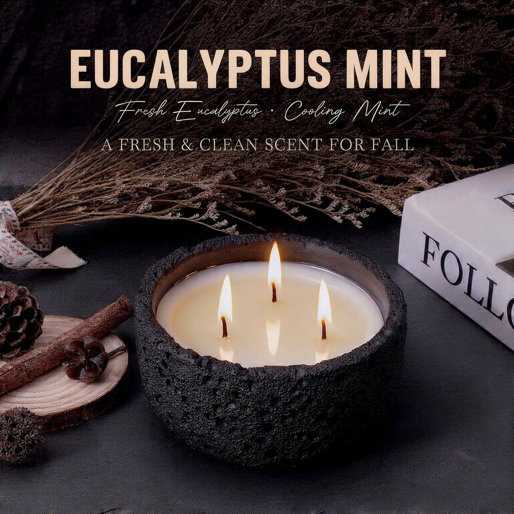 20oz Large Odor Eliminating Candle - Eucalyptus Mint, 3 Wick Fall Scented Soy Candle, Non Toxic, Matte Black Ceramic