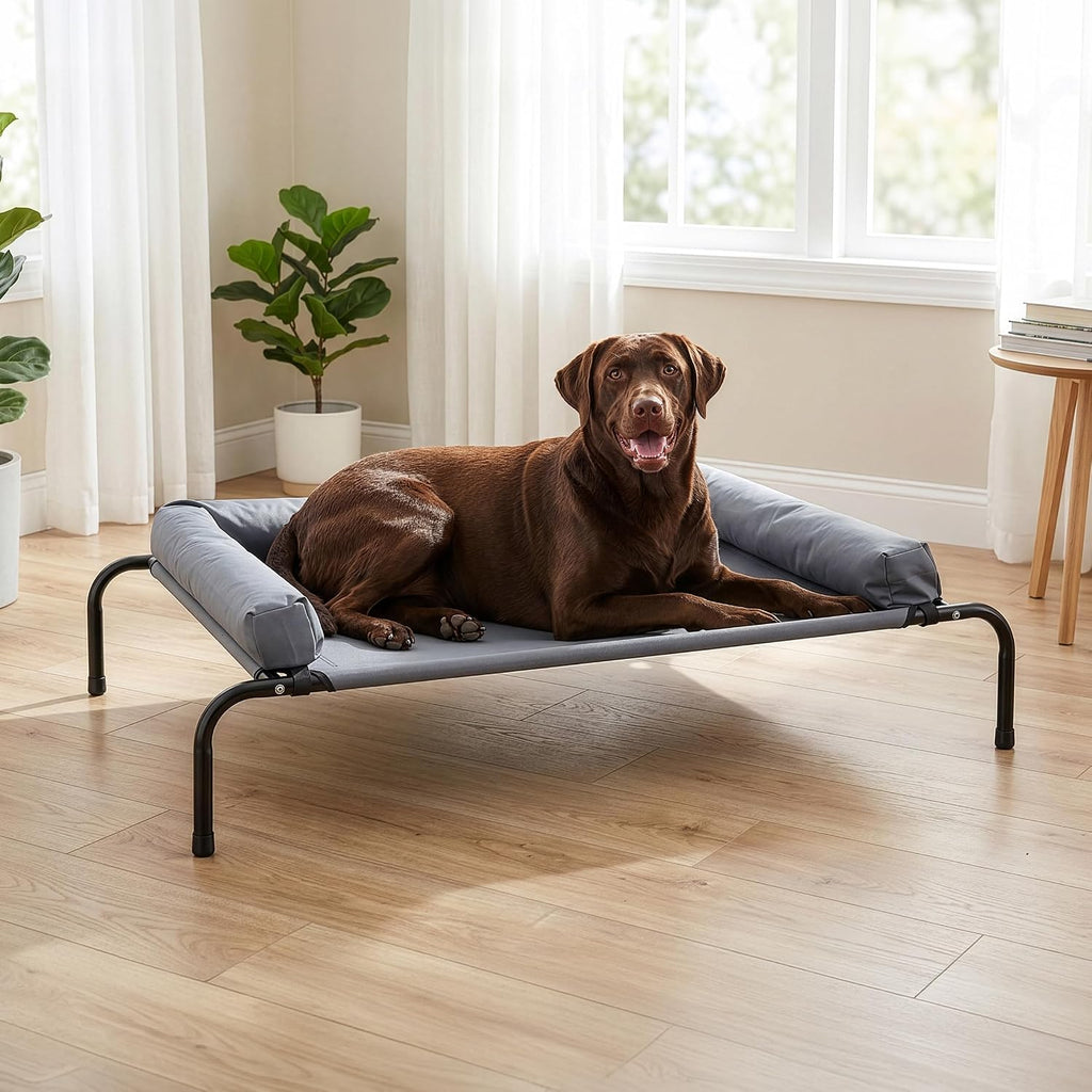 Elevated Dog Bed with 3-Sided Removable Bolster, Gray