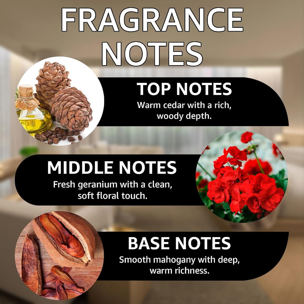 Mahogany Teakwood Diffuser Oil, Cedar & Mahogany Notes, 16 oz - Set of 16