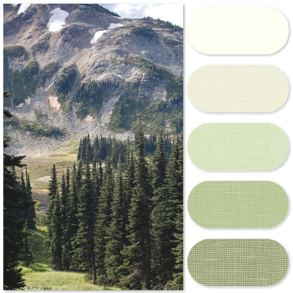 Extra Long Green Shower Curtain 70x84 inch12 Hooks