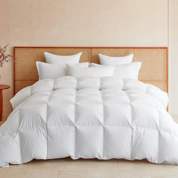 Goose Feather Down Fiber Comforter Queen Size, All Season Duvet Insert, 750+FP Hotel Bed Comforter, Ultra Soft 100%