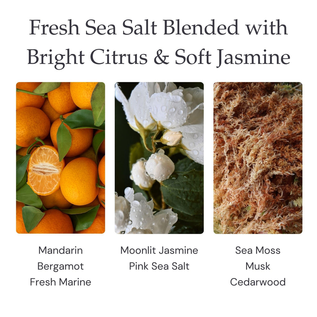 Sea Salt & Jasmine Fragrance (9 oz)