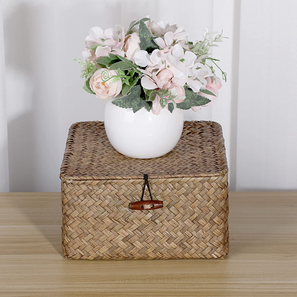 Small Wicker Shelf Baskets Handwoven Seagrass Storage Bin with Lid