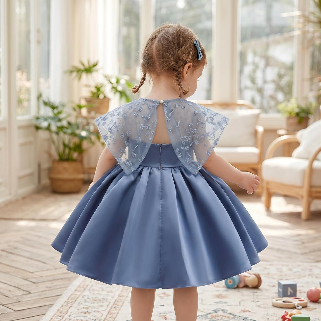 Baby Flower Girl Dress Wedding Pageant Birthday Party Lace Embroidered Formal Ball Gown Dresses