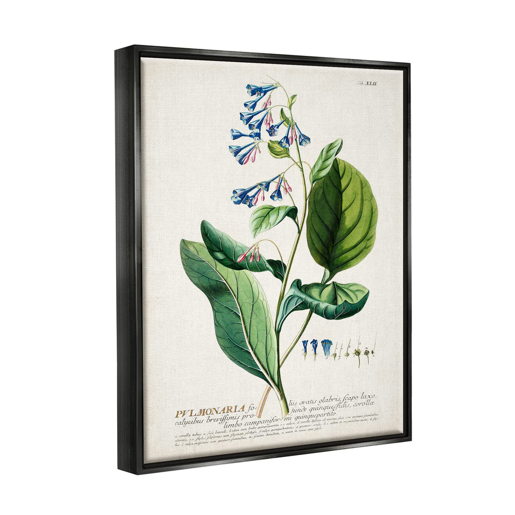 Botanical Blue Flowers Vintage, 16 x 20 Inch Canvas in Floater Frame