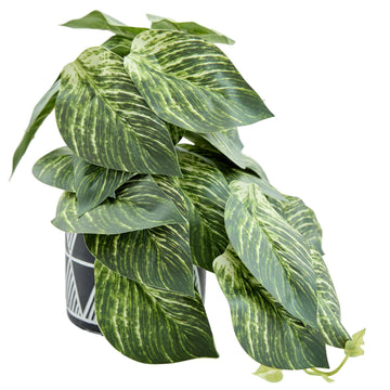 Faux Pothos Plant Black White Geo Cement Pot Indoor Decor
