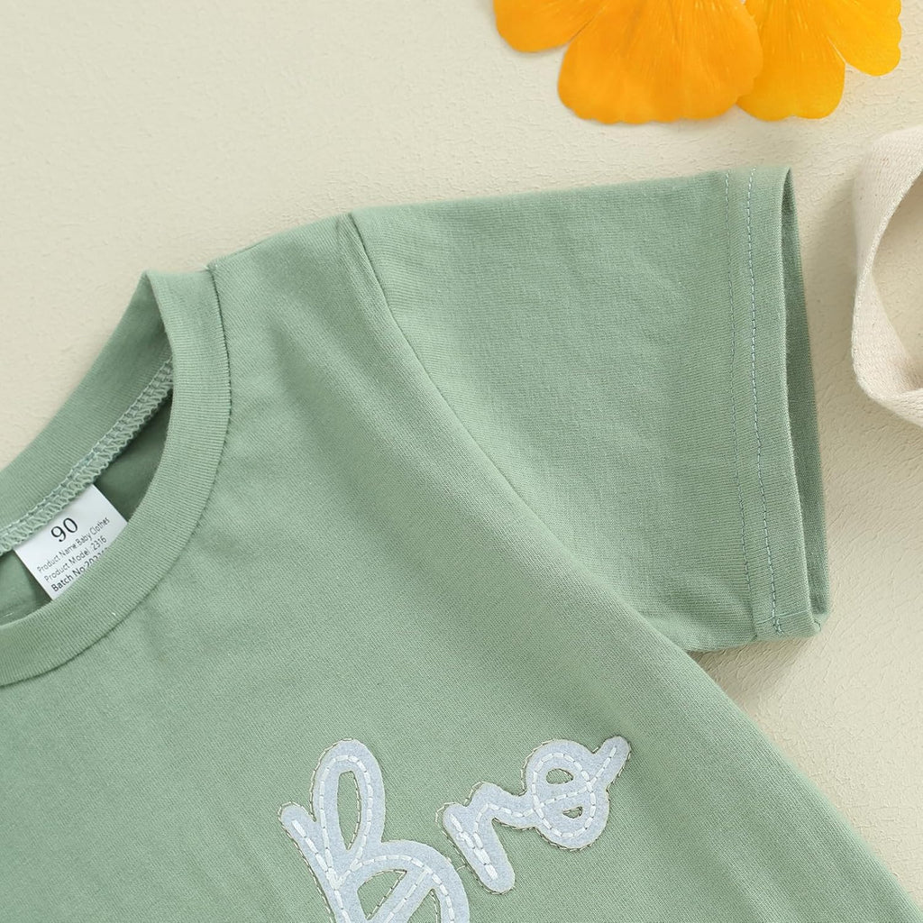 Baby and Toddler Boy Girl Big Brother Little Sister Matching Outfits Short Sleeve T Shirt Shorts Summer Clothes