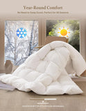 Goose Feather Down Fibers Comforter Twin, Organic Cotton Duvet Insert, All Season Warmth, Baffle Box