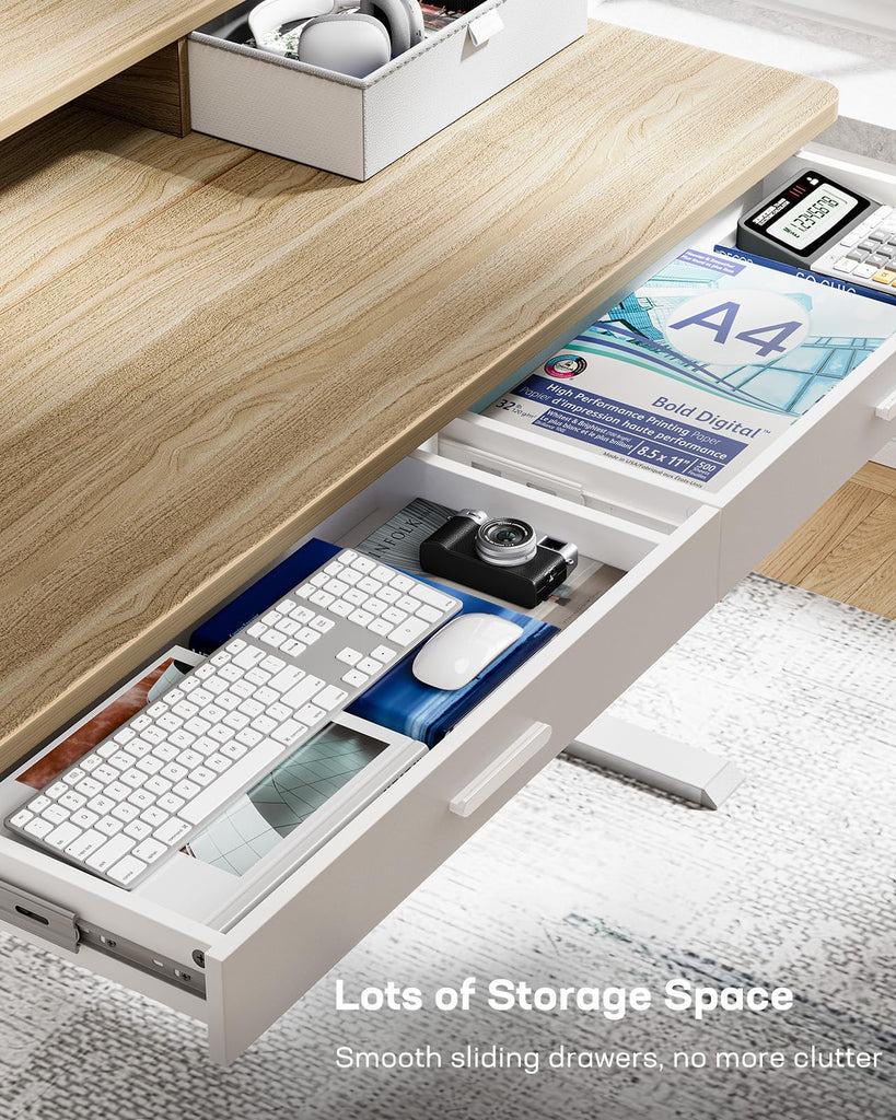 48 x 30 inch Electric Standing Desk with 2 Wood Drawers, Adjustable Height Sit Stand Desk, Ergonomic Stand up Desk