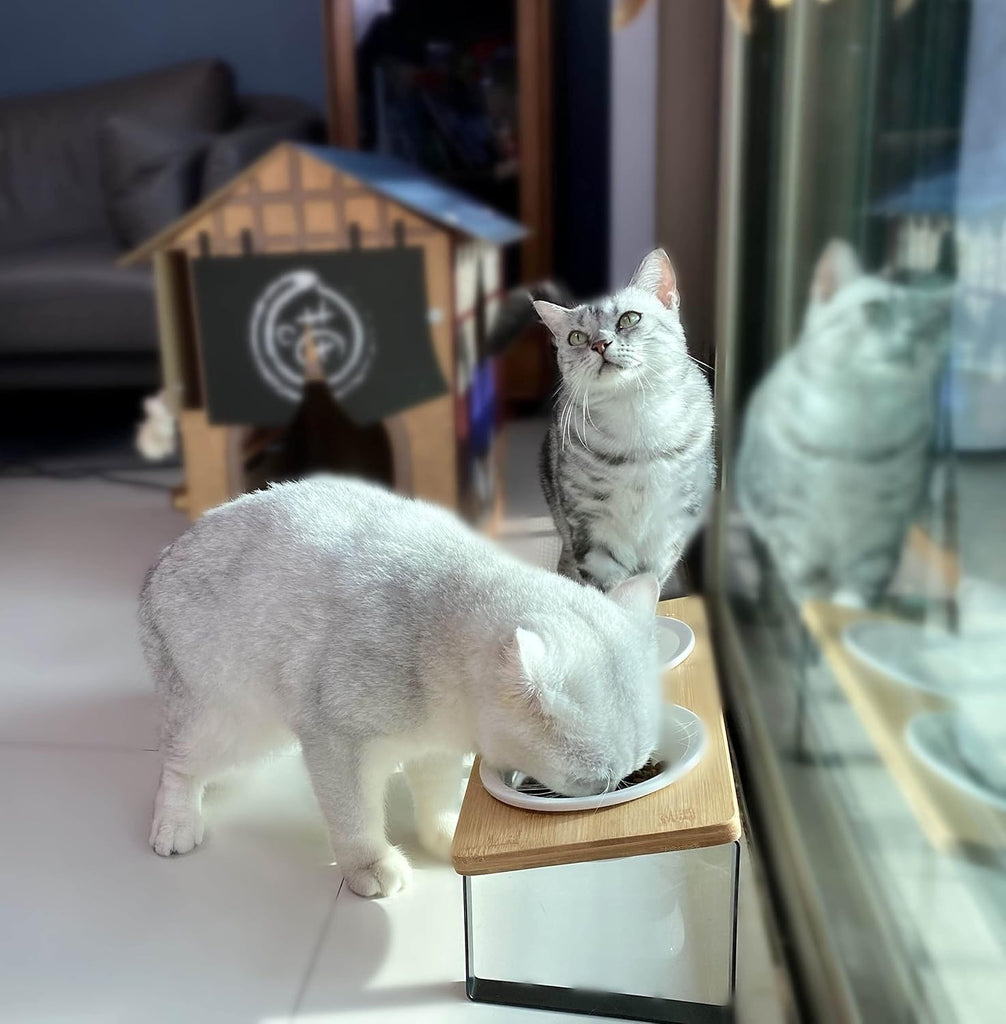 Ceramic Elevated Cat Bowls Raised Puppy Dishes for Food and Water Tilted Wooden Stand for Indoor Cats 5.5 inch Wide