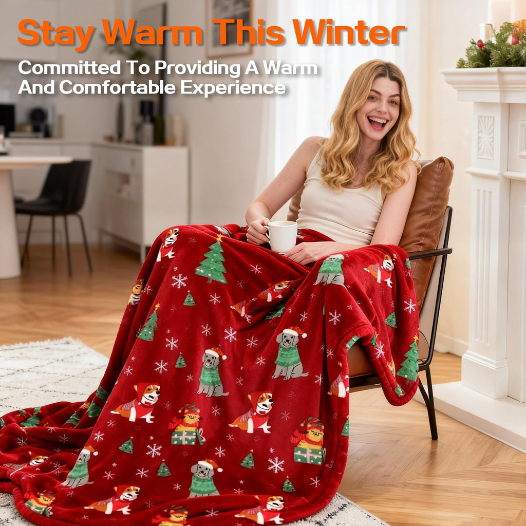 Electric Blanket Heated Throw, Soft Flannel 50"x60" Plaid Heating Blanket with 8 Hours Auto Off 10 Fast Heating