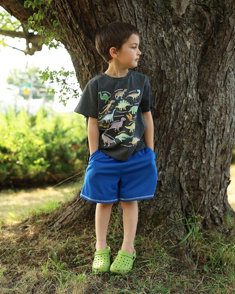 Boys Graphic T-Shirt, Cotton Short Sleeve Shirt for Kid