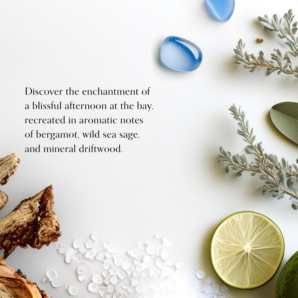 Chesapeake Bay, 11oz Serene Waters Scented Candle, Mood Evoking Fragrance, Textured Sea Glass-Inspired Jar, Premium - Set of 11