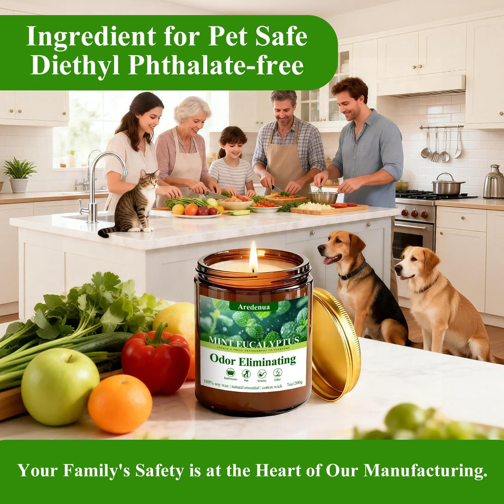Mint Eucalyptus Odor Eliminating Candles, 7 oz Soy Scented Candle