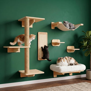 6in1 Cat Wall Shelves for Large Cats, Wall Mounted Climbing Furniture