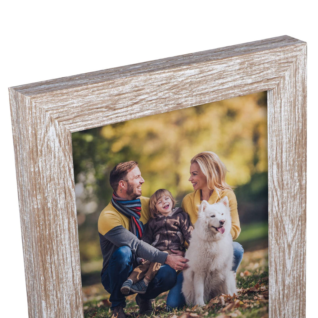 Rustic 4x6 Picture Frame Set of 12, Multi Woodgrain Farmhouse Photo Frames for Wall or Tabletop, Beige
