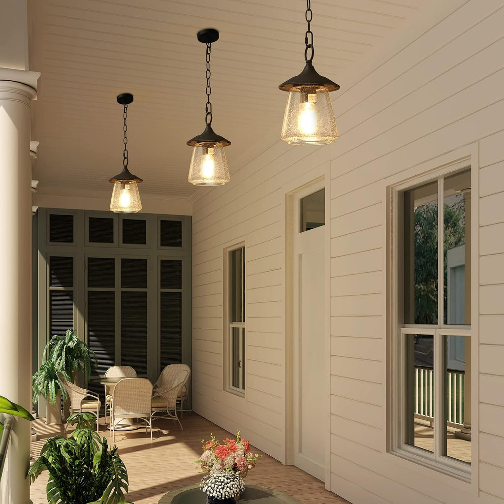 Outdoor Pendant Lights, Porch Fixture in Painted Black Metal with Clear Bubbled Glass Globe