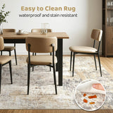 Area Rug Living Room Rugs: 5x7 Washable Large Abstract Modern Soft Stain Resistant Indoor Floor Non Slip Accent Carpet