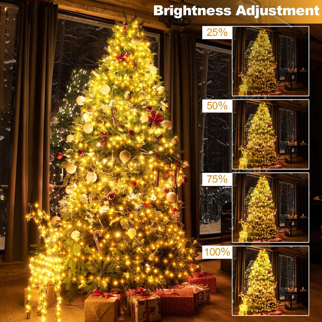 Dual Color 50Ft 1000 LED Cluster Christmas String Lights with Remote Timer