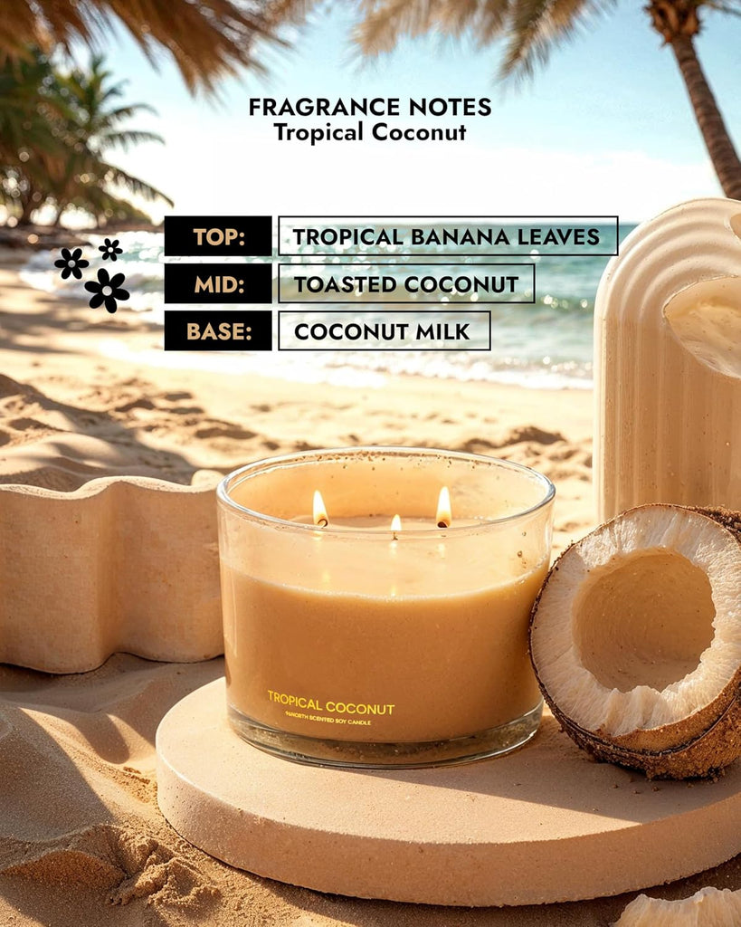 Luxury Coconut Soy Candle | Large 3 Wick Jar Candle | Up to 50 Hours Burning Time | Tropical Beach Scented Candles - Set of 12
